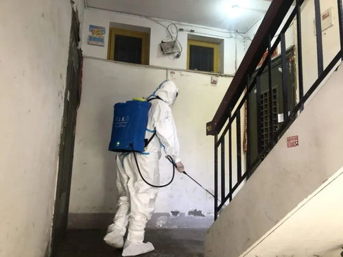 消毒液与汗水交织的一天 武汉疫情中的普通磨砺